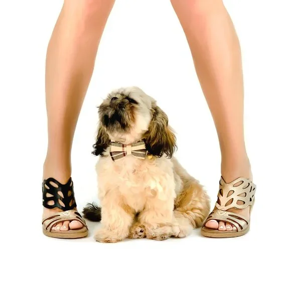 Celesta 2 - Tan flips to Black - Modzori Low-wedge Reversible Sandal - Picture 8 of 9